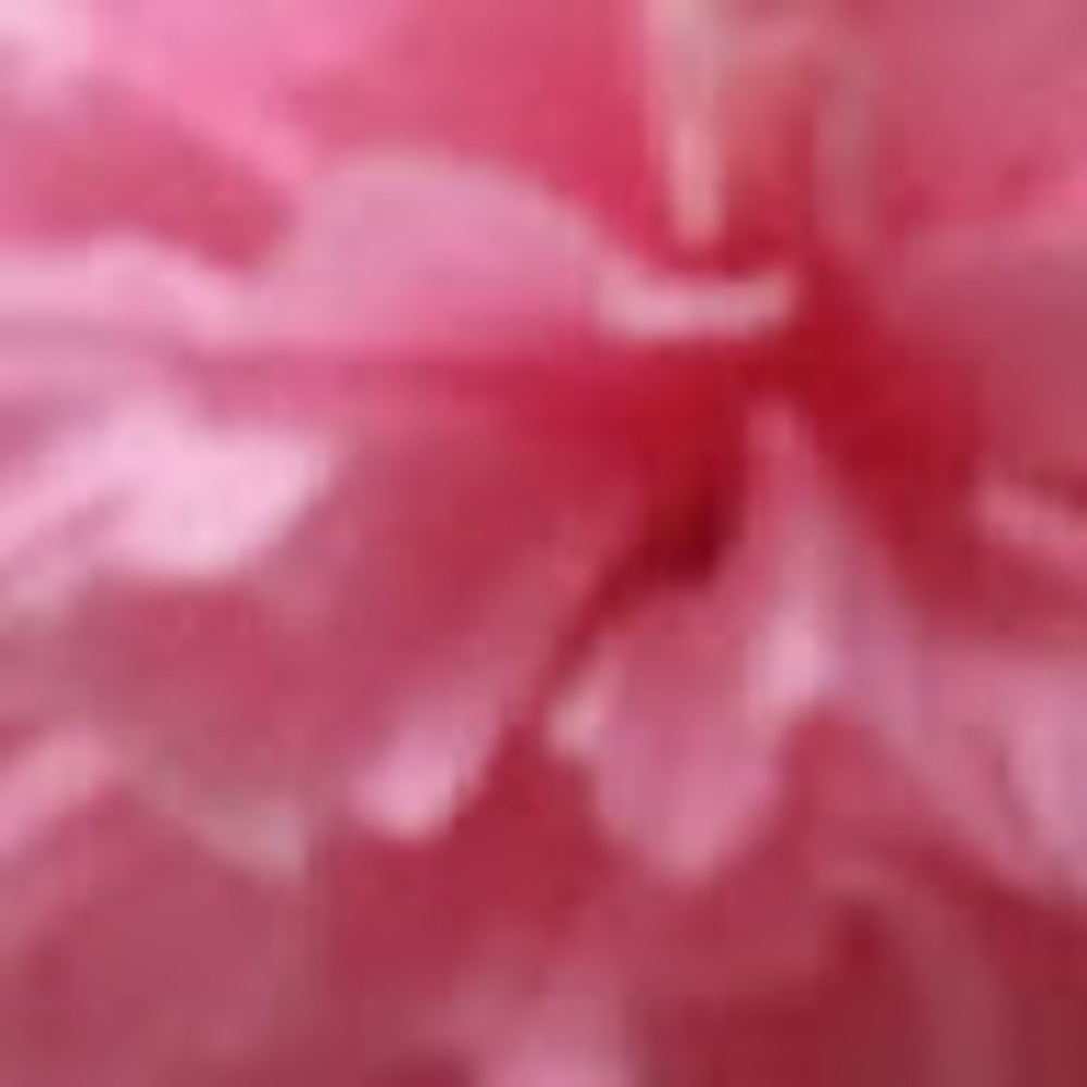 Meet your Posher, Stacie